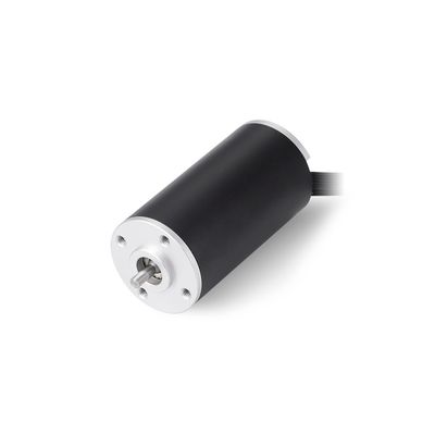28mm 브러시리스 코리스리스 DC 모터 24V 30V 36V 18000 RPM 전기 자동차용 높은 토크